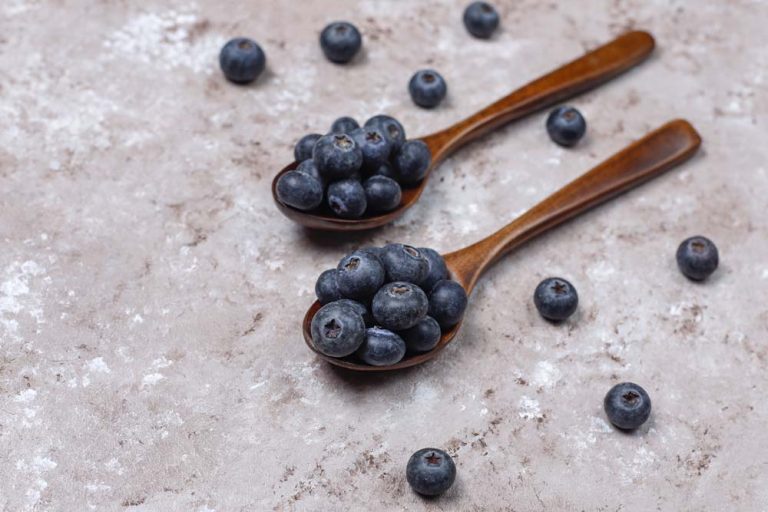 top view  copy space  woman holding copybook with bell peppers  parsley and tomatoes in a basket of eggplants on wooden background
